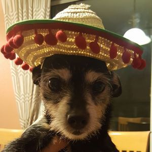 Meet your Posher, Hing